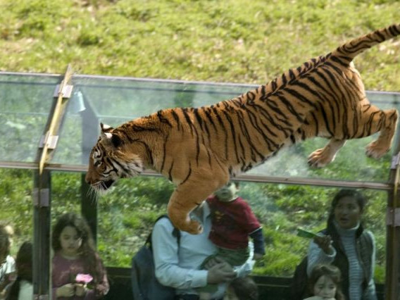 Parigi.it by Cuma Travel s.r.l.